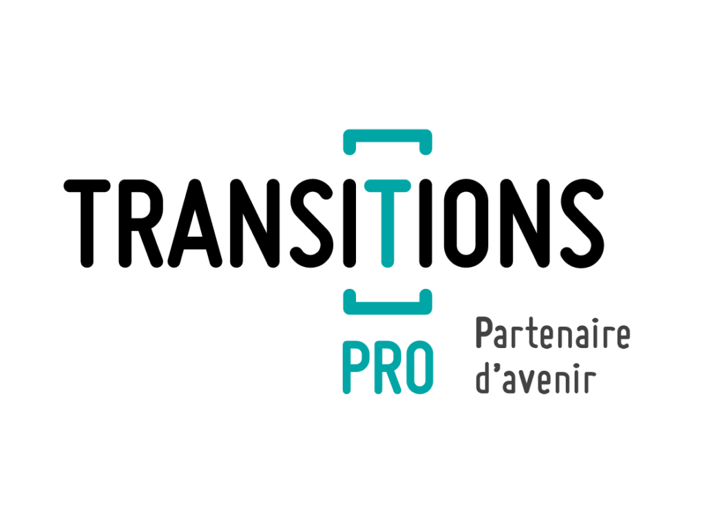 Transition Pro